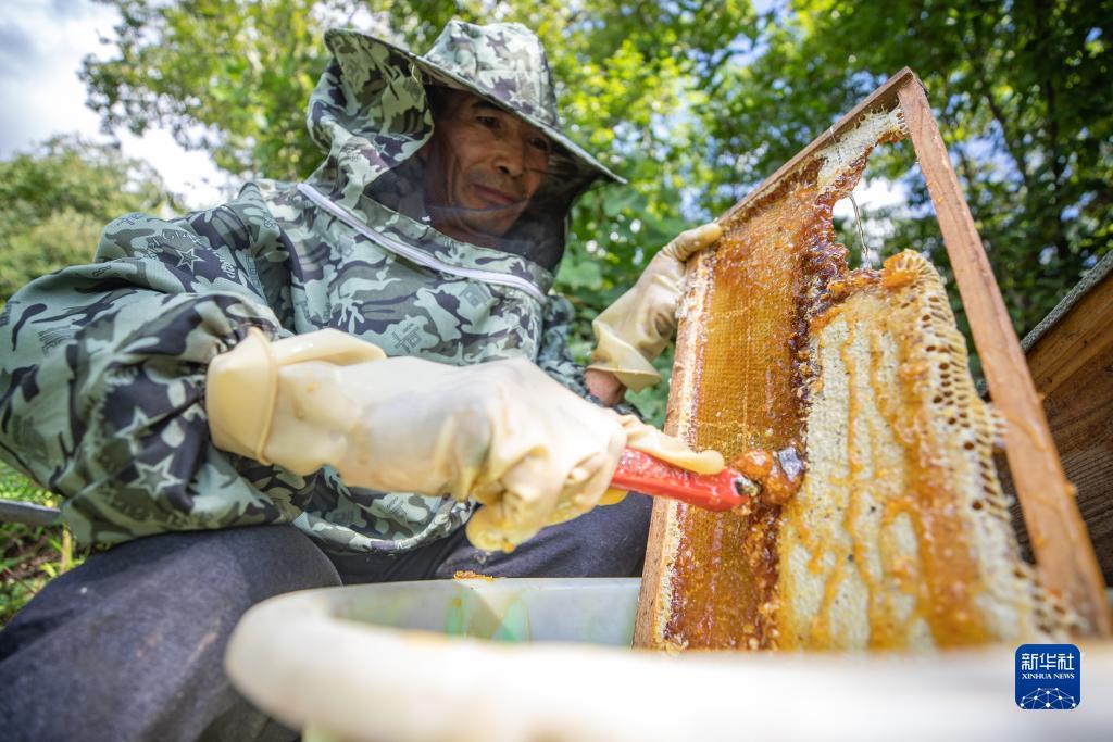 bv伟德下载